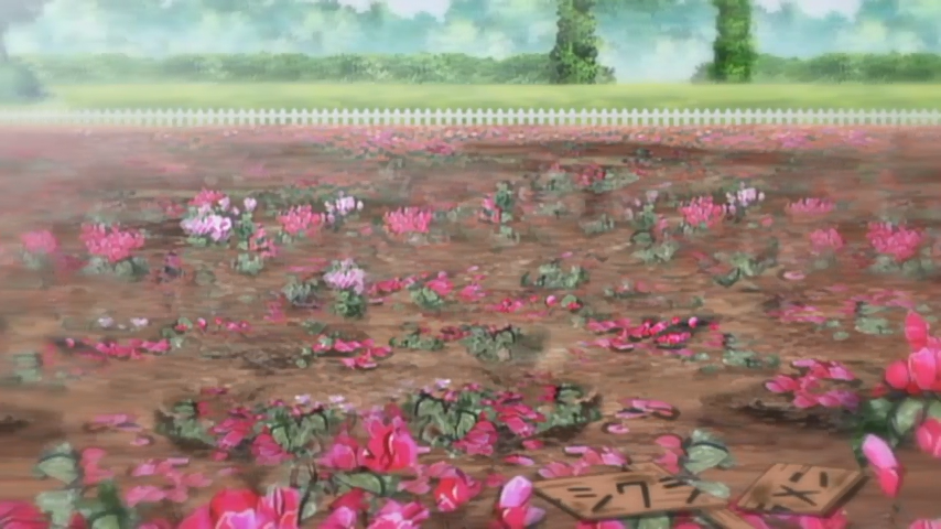 Hayate no Gotoku! (Oraora)